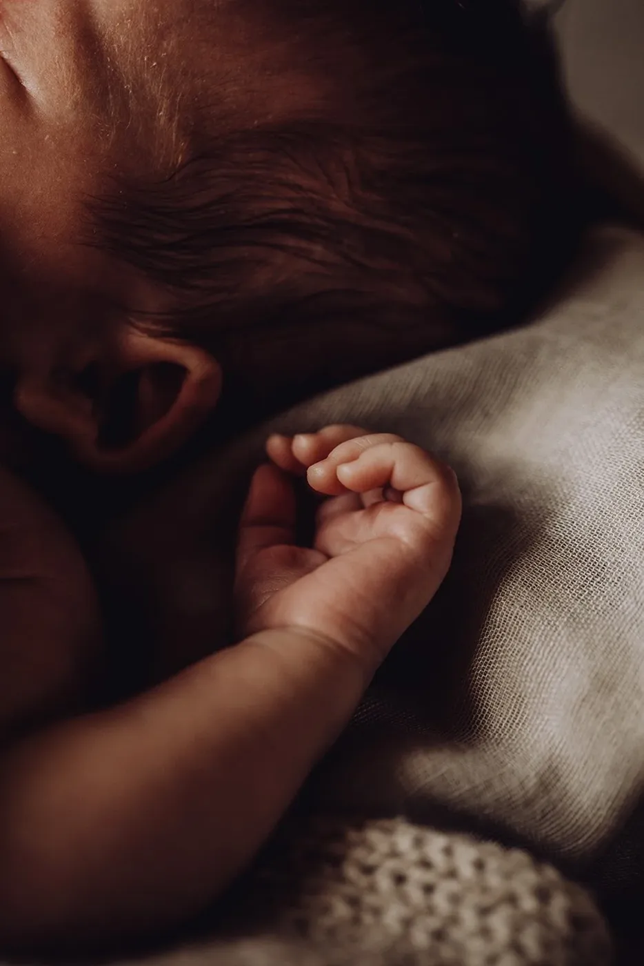 NEWBORN portfolio — 3