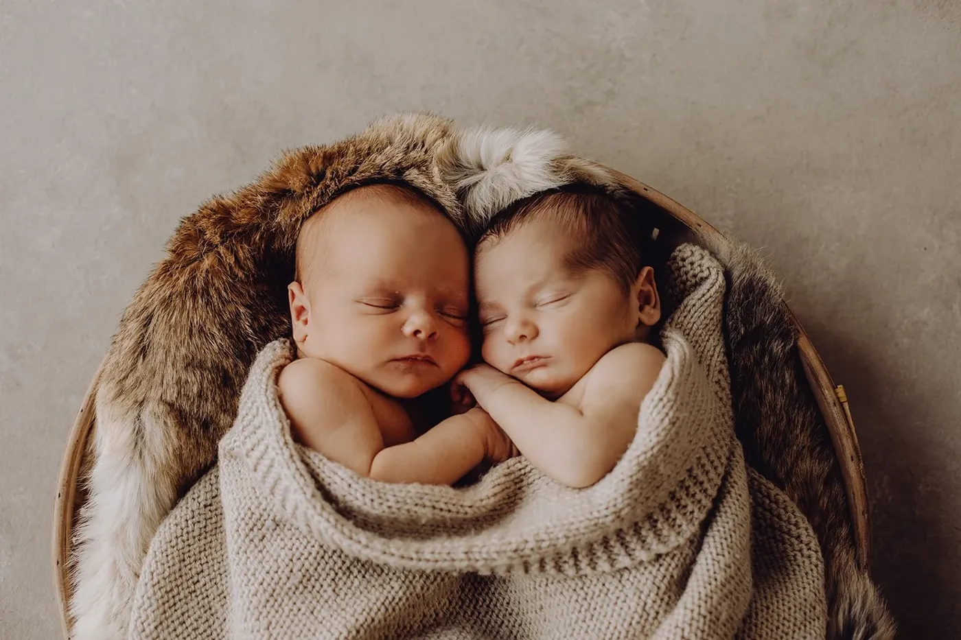 NEWBORN portfolio — 8