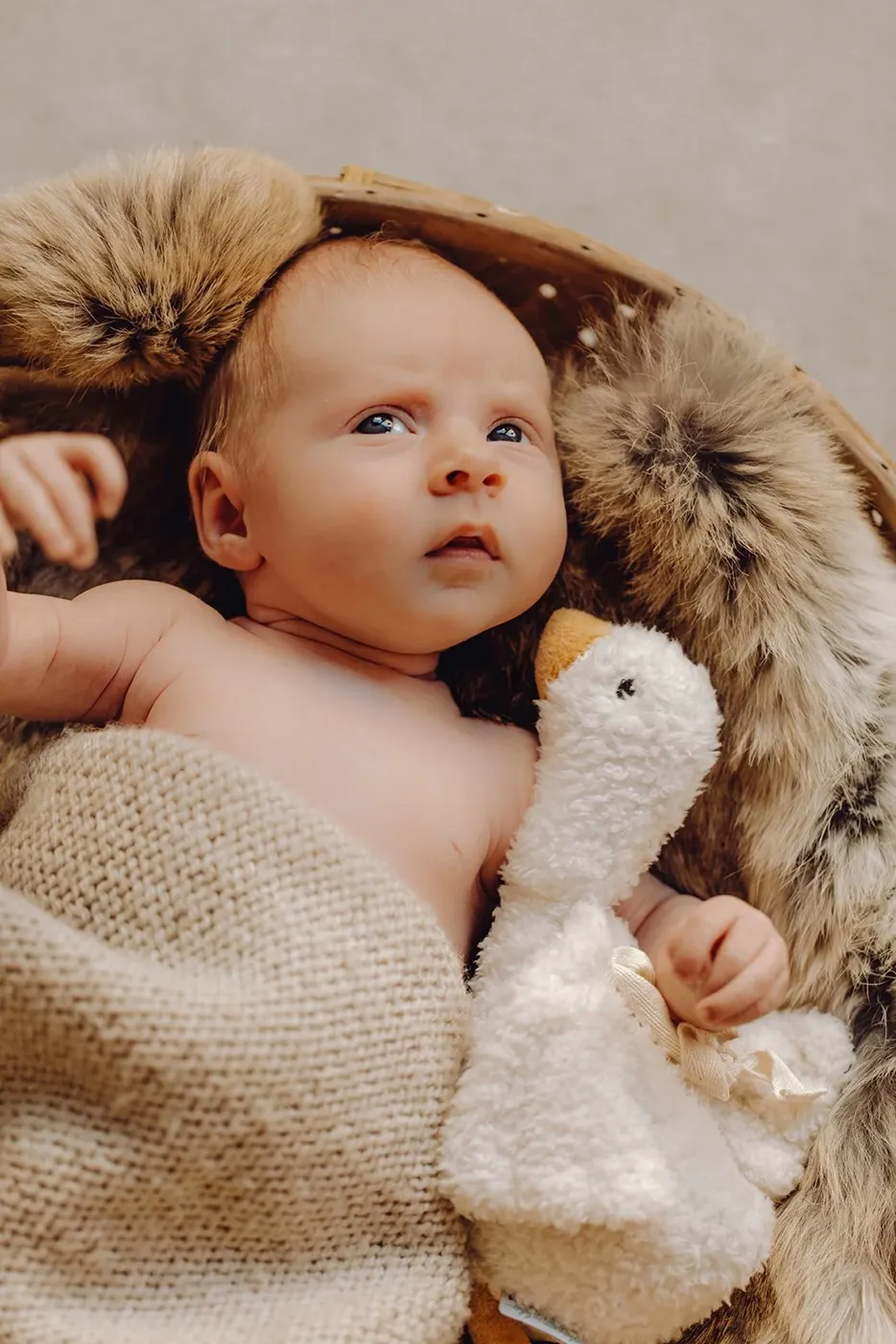 NEWBORN portfolio — 25