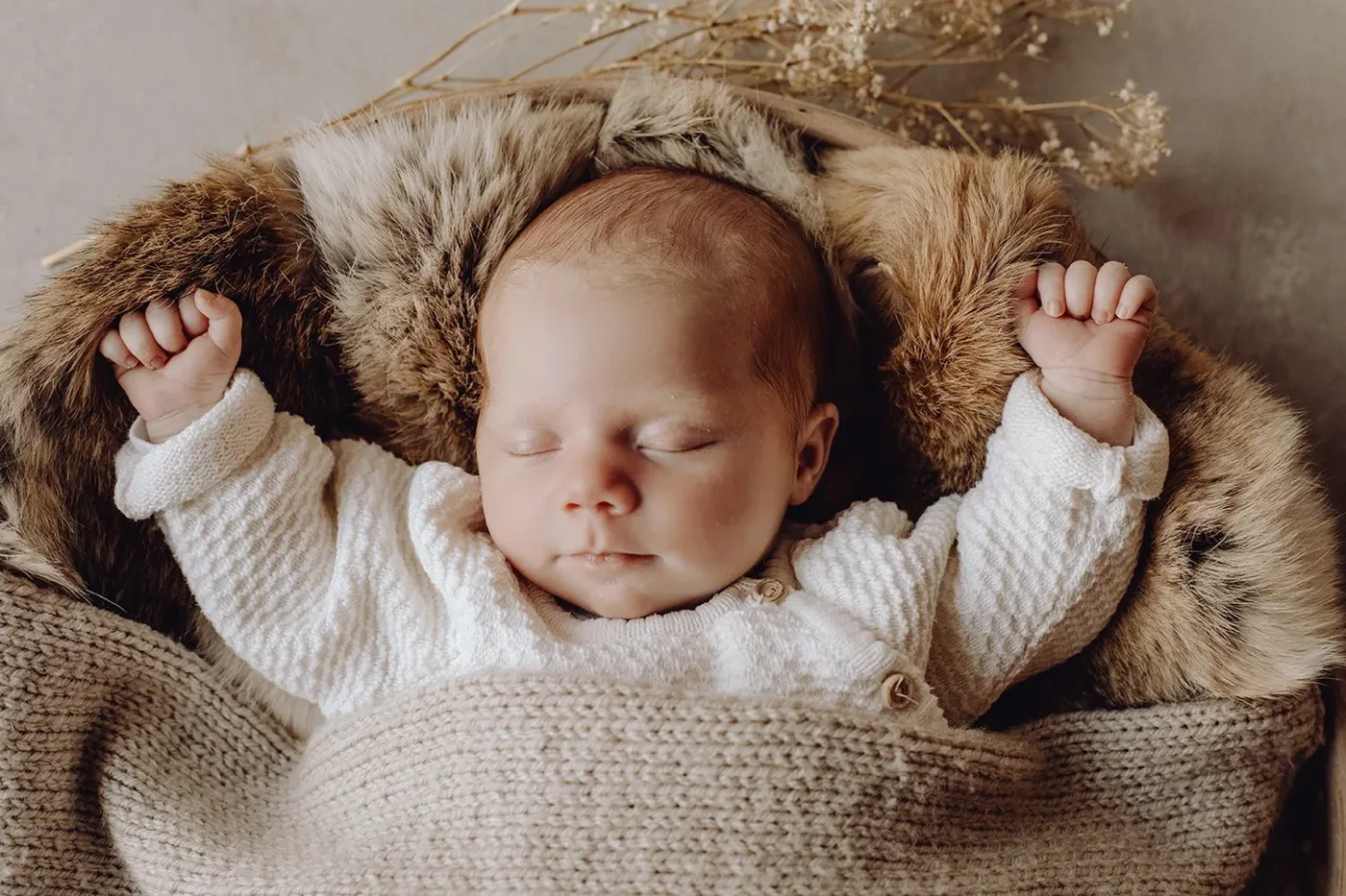 NEWBORN portfolio — 36