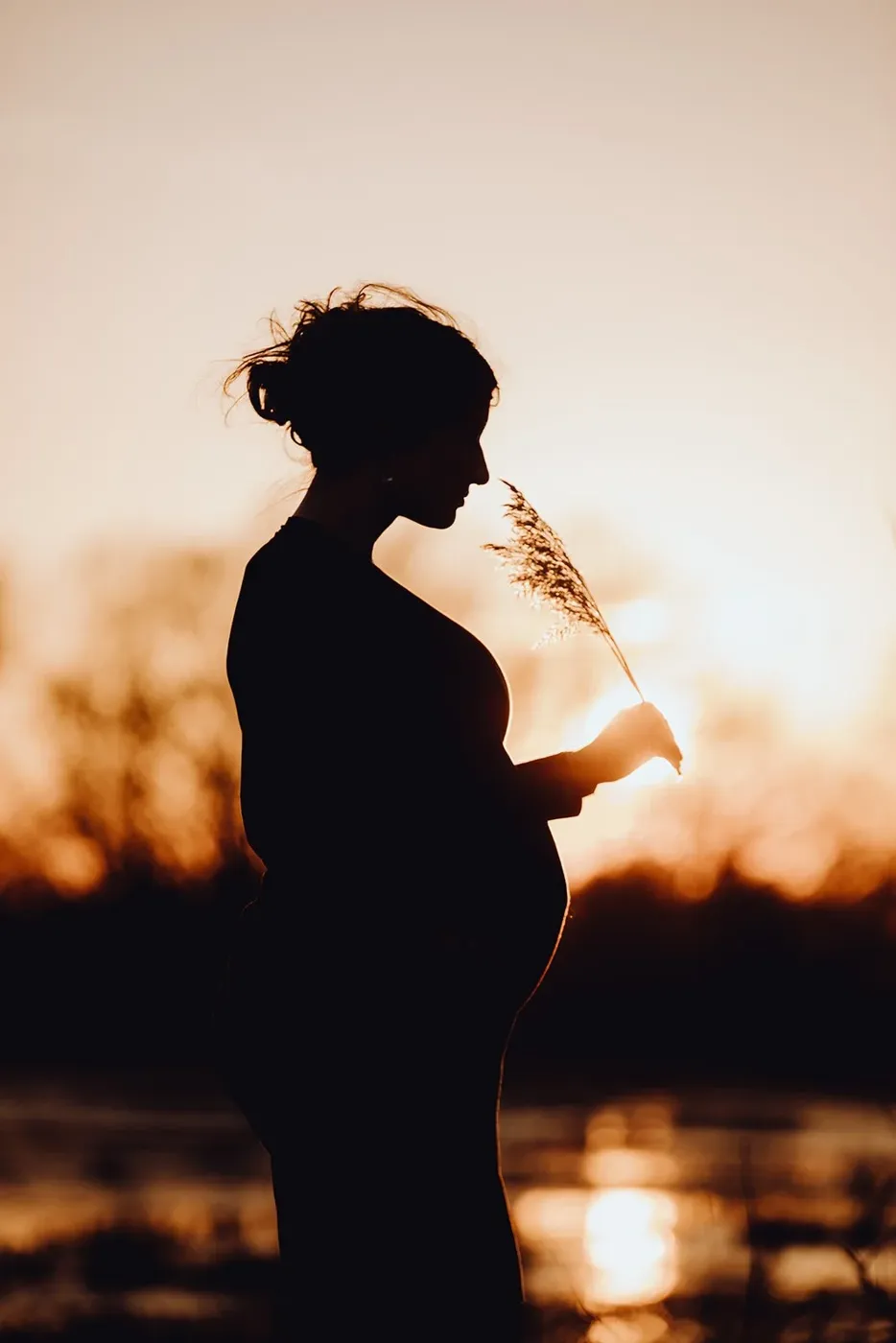 BELLY portfolio — 36