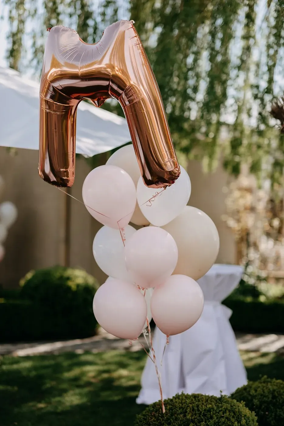 FEEST portfolio — 40