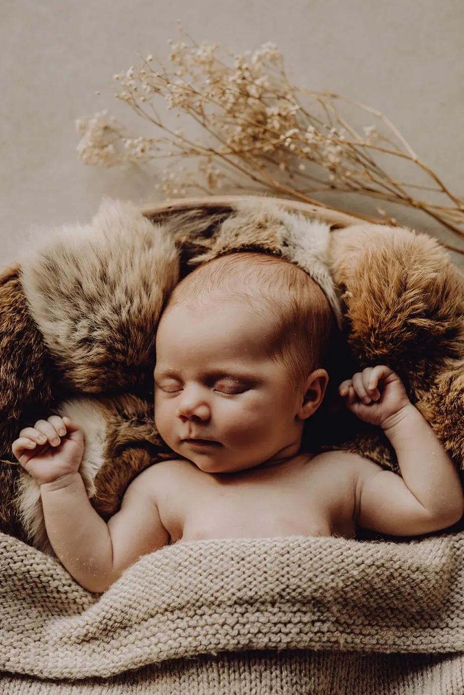 NEWBORN portfolio — 41