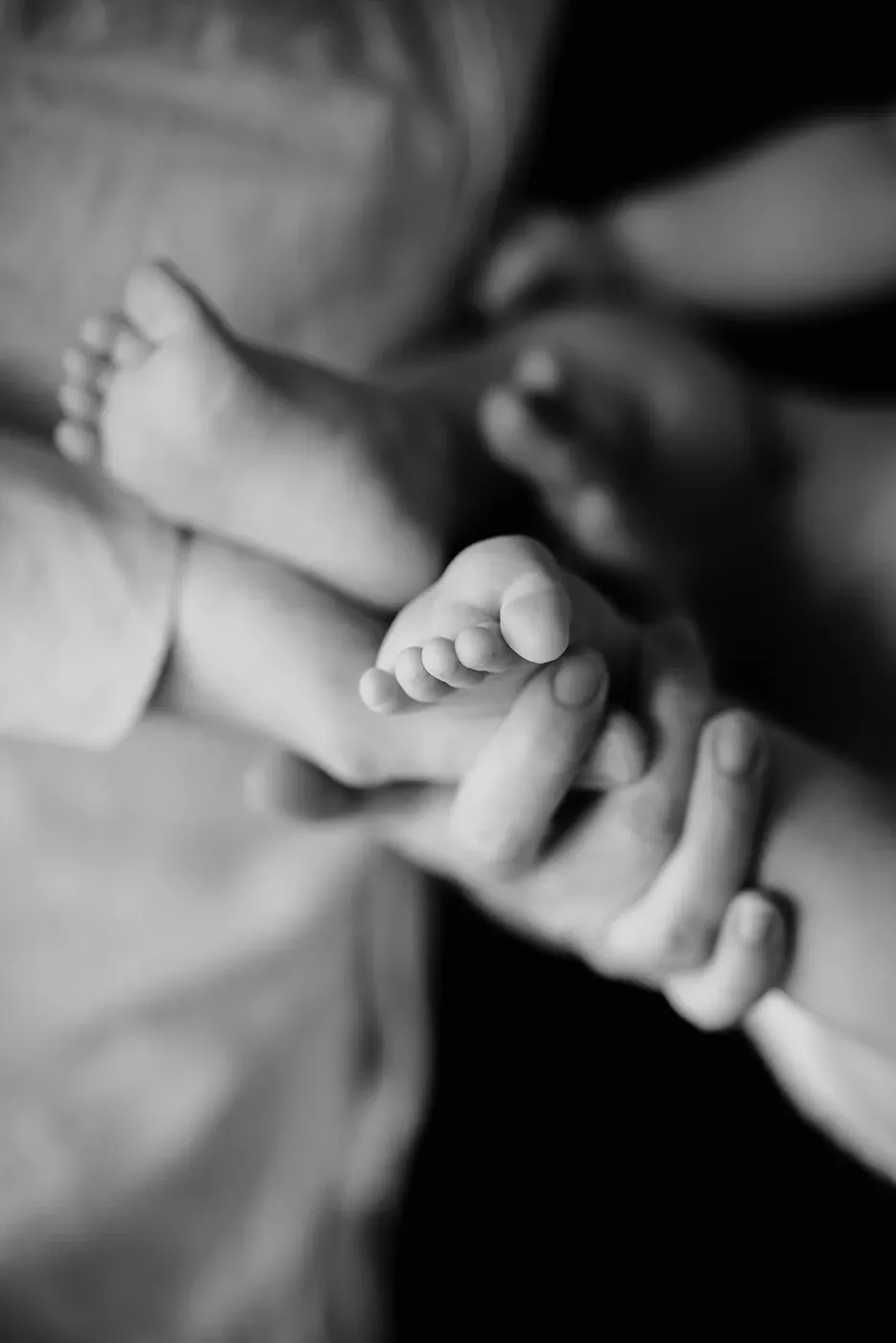 NEWBORN portfolio — 43
