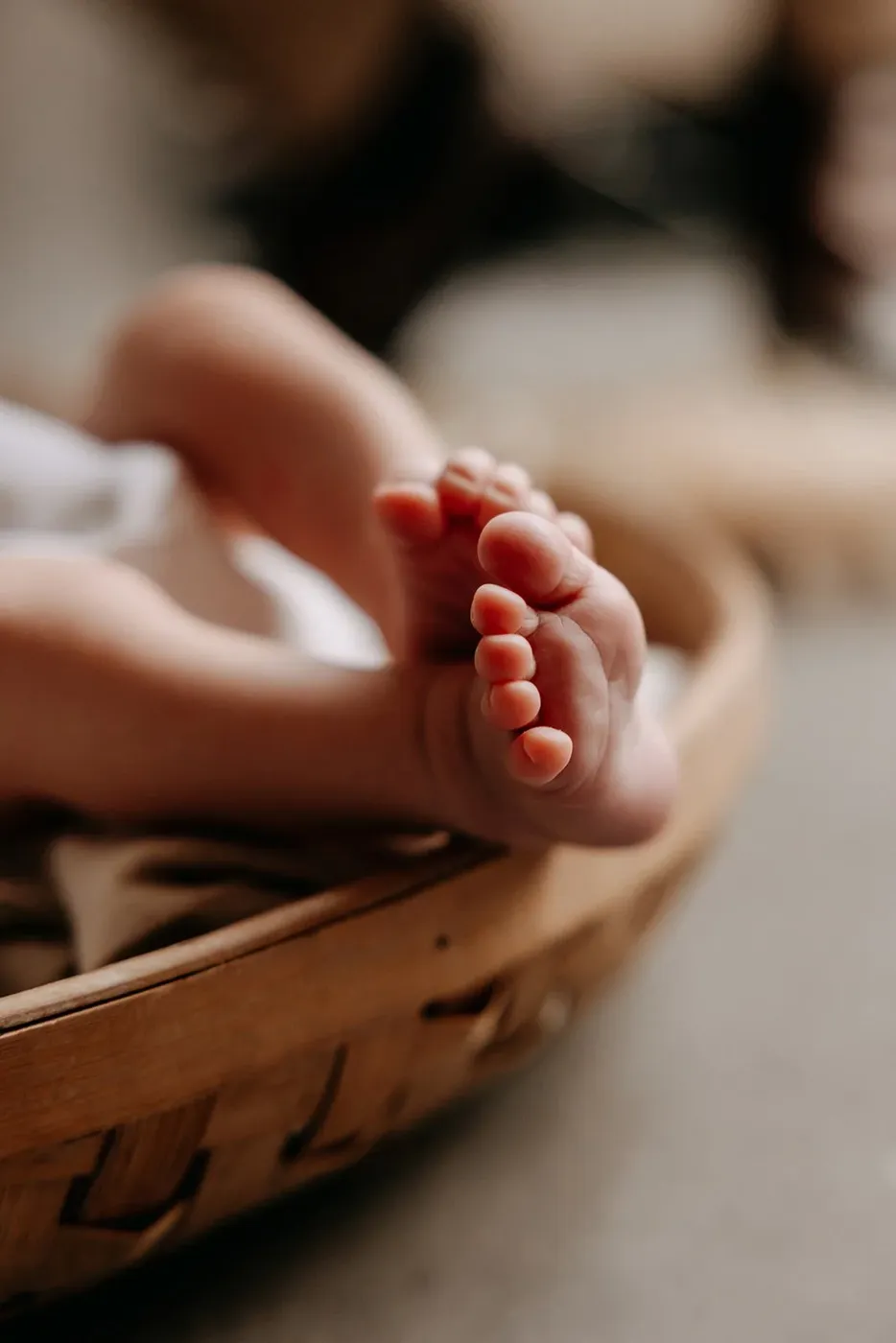 NEWBORN portfolio — 44