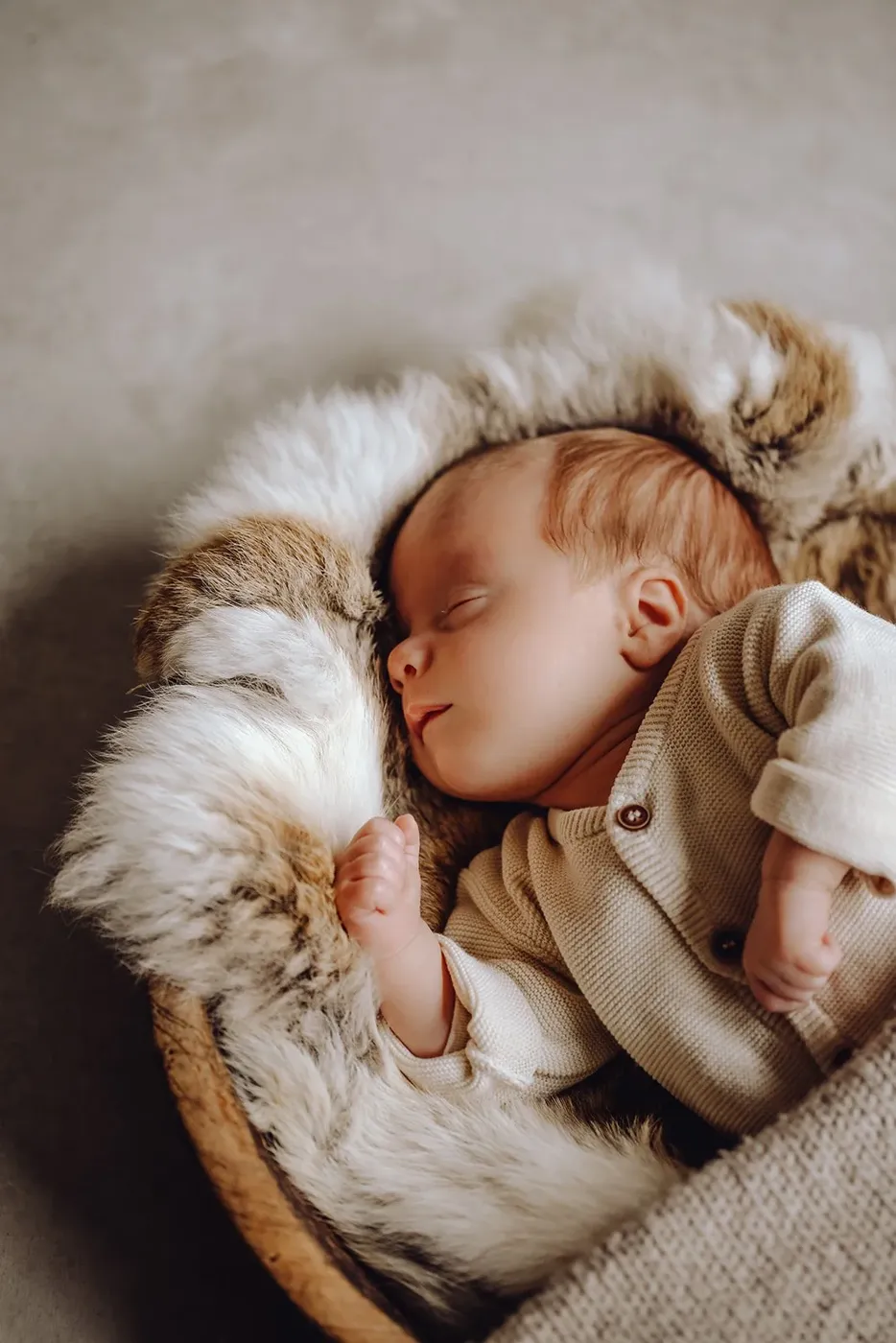 NEWBORN portfolio — 50