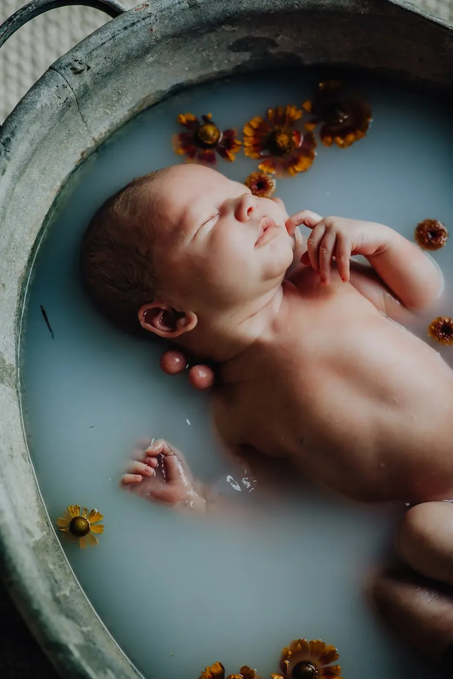 NEWBORN portfolio — 53