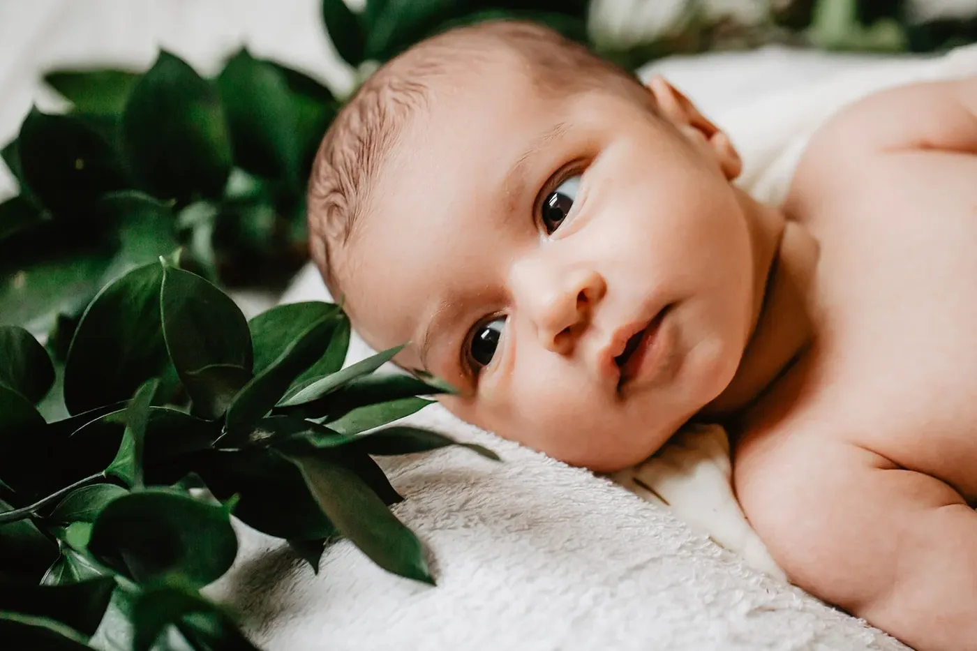 NEWBORN portfolio — 63