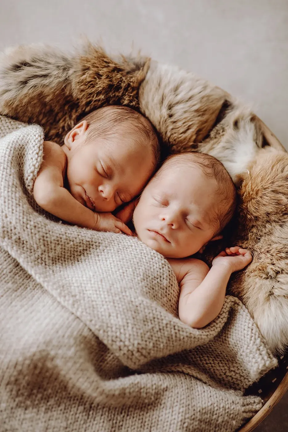 NEWBORN portfolio — 73
