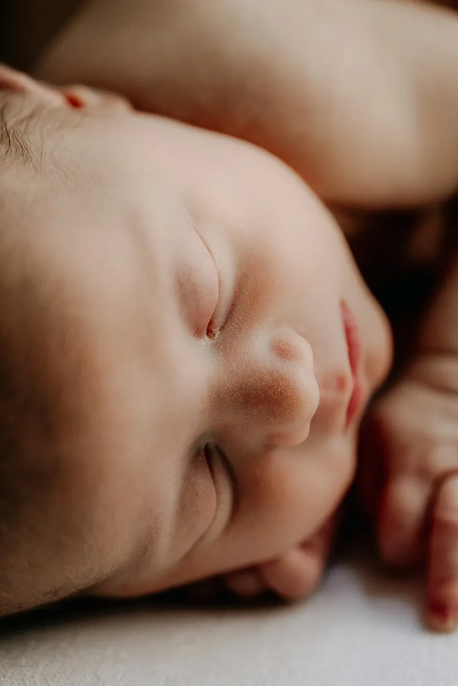 NEWBORN portfolio — 79