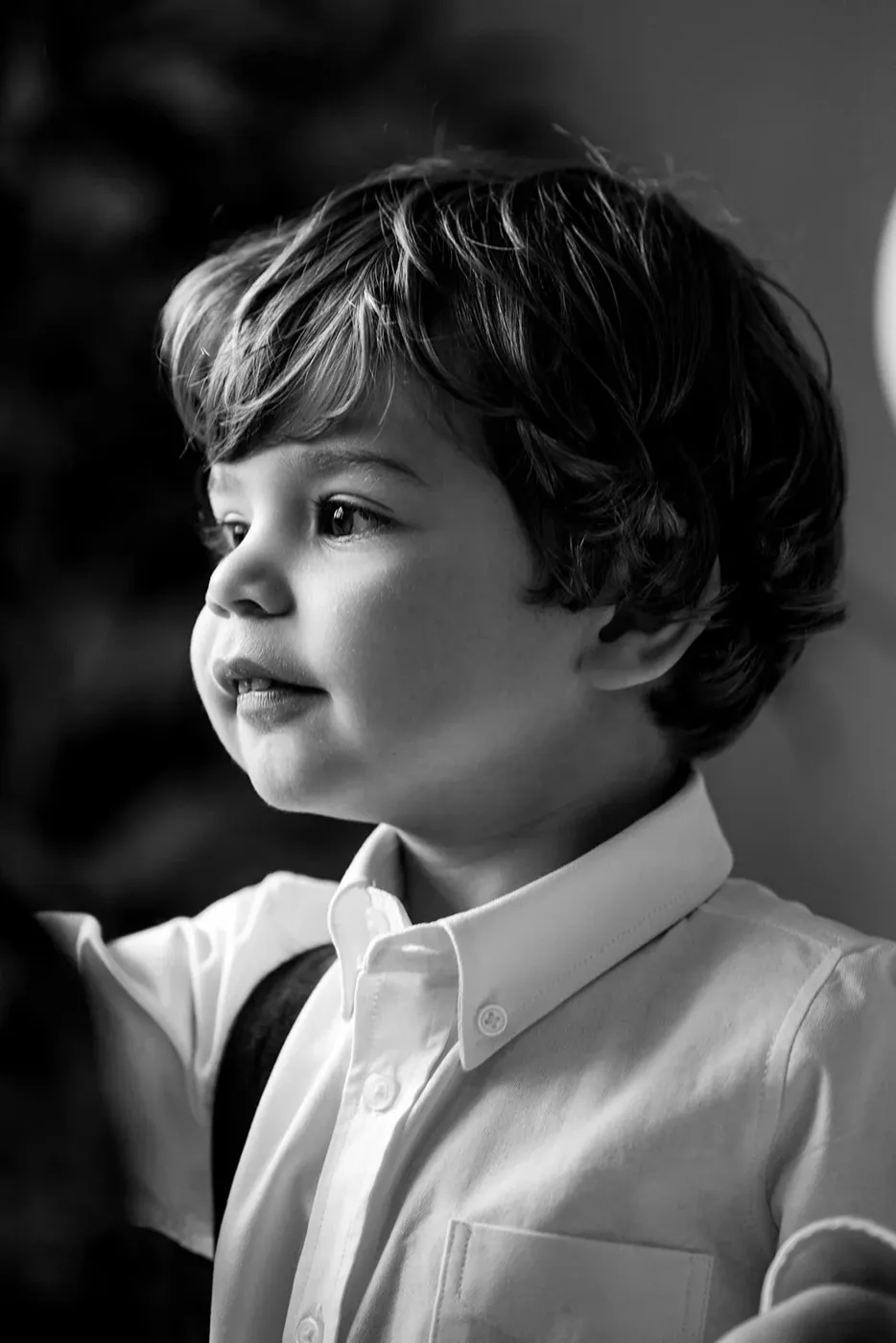 FAMILY portfolio — 86