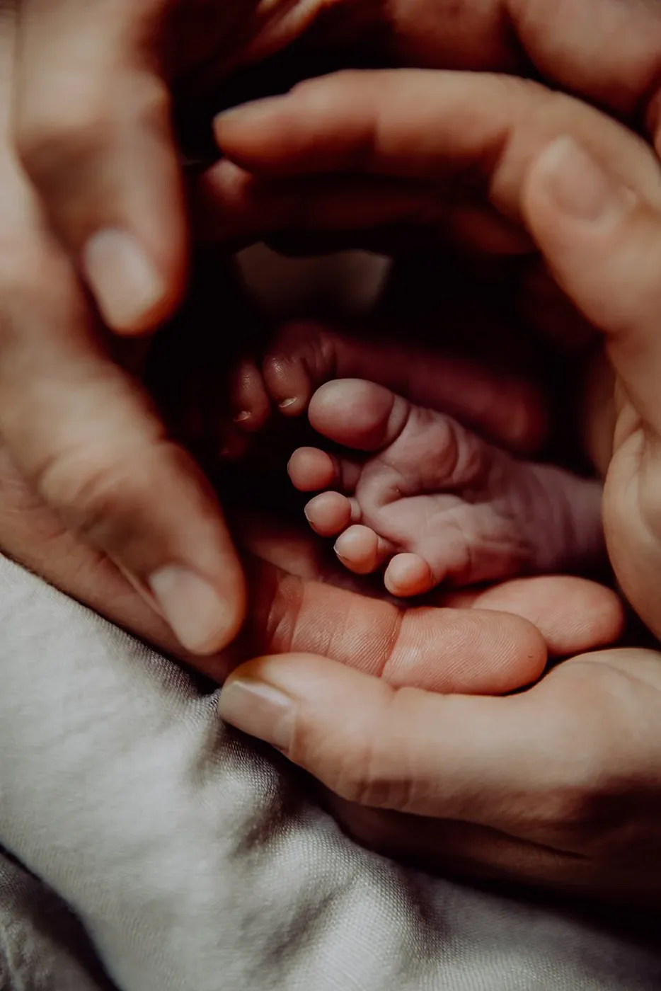 NEWBORN portfolio — 89