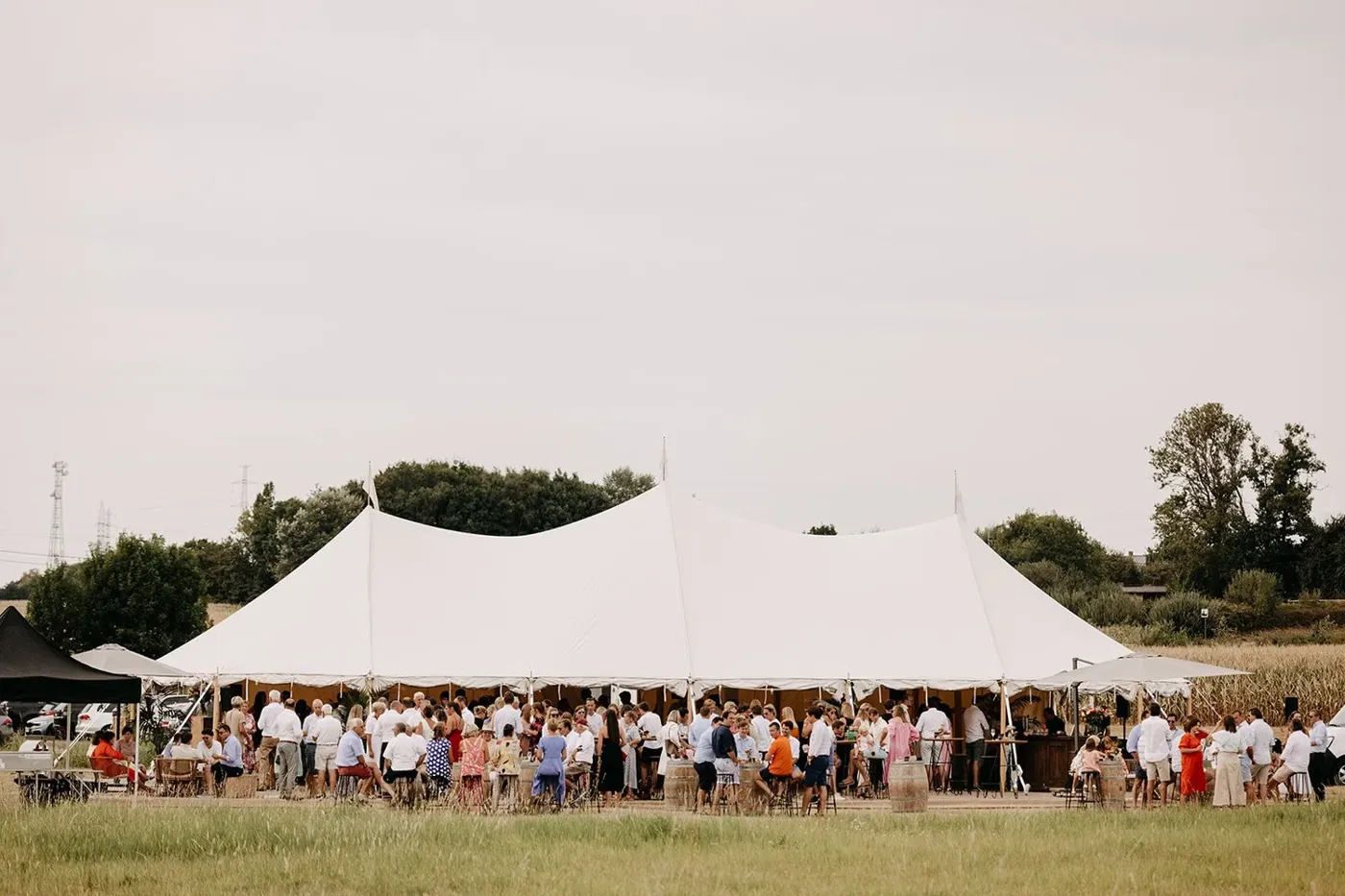 FEEST portfolio — 91