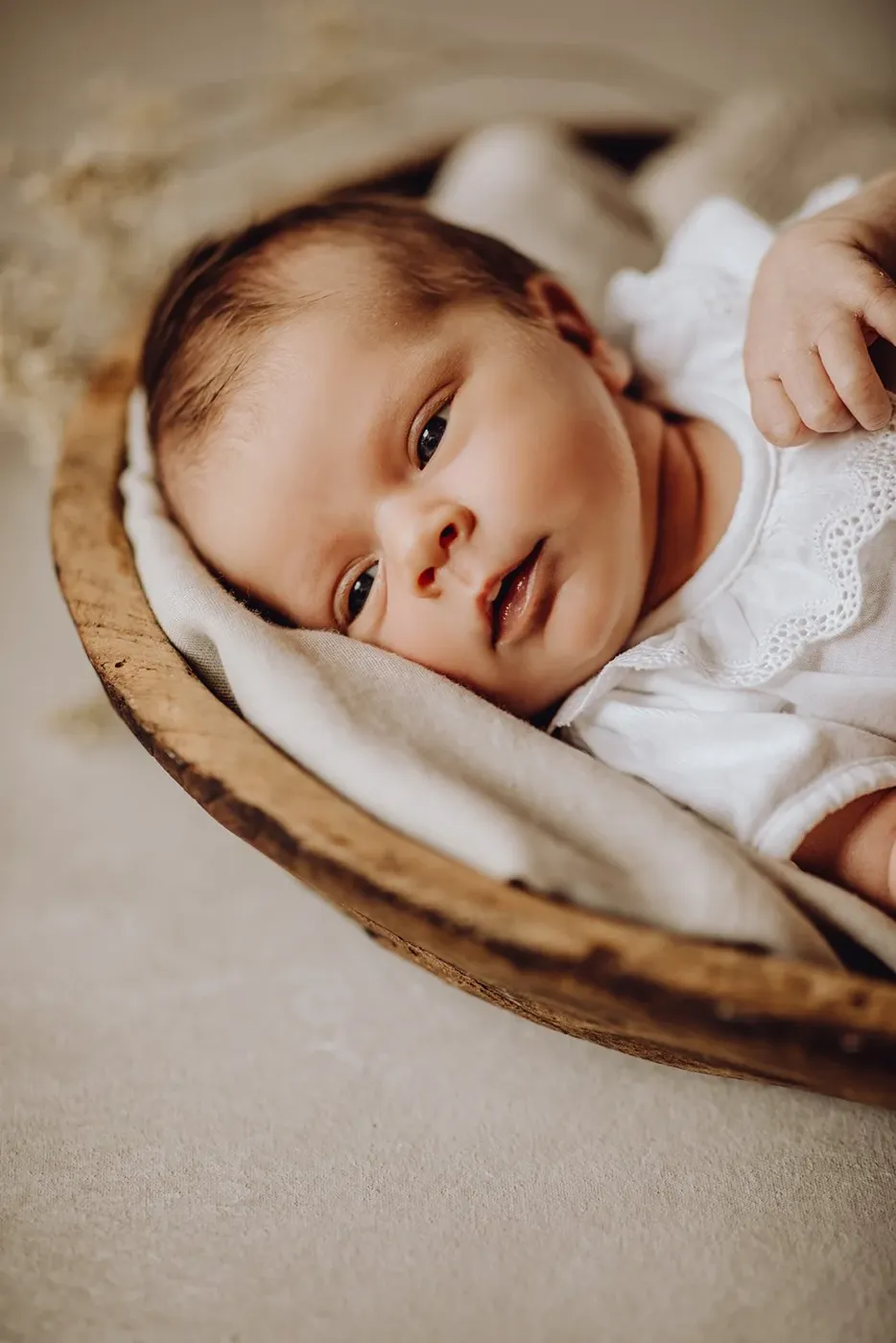 NEWBORN portfolio — 103