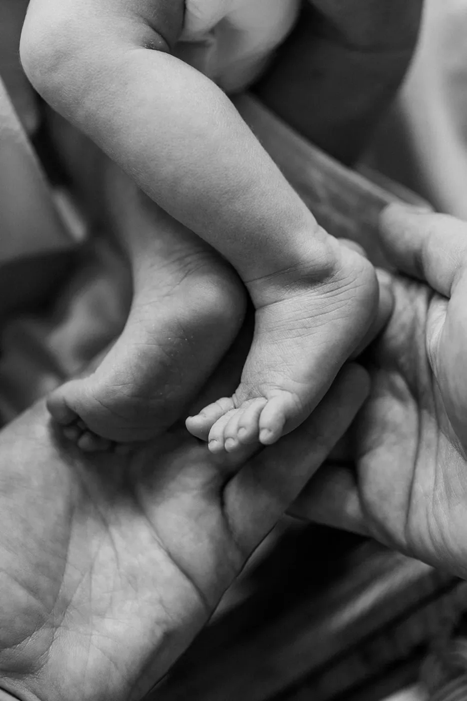 NEWBORN portfolio — 122
