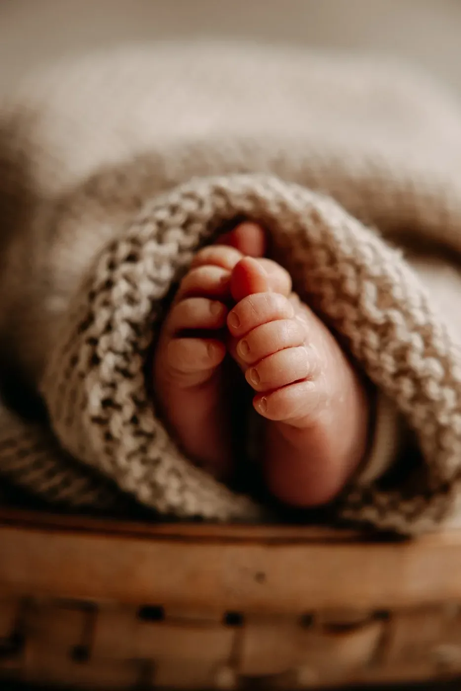 NEWBORN portfolio — 125