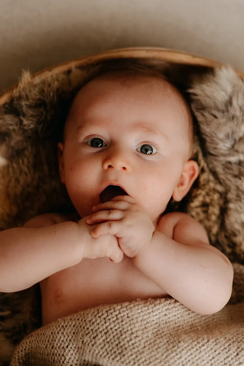 NEWBORN portfolio — 127