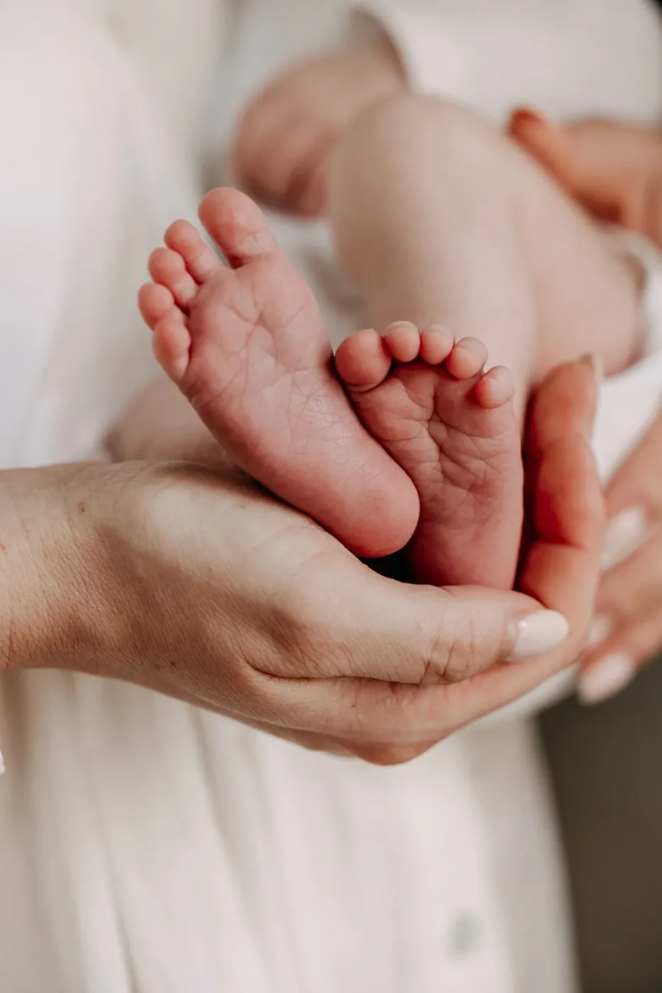NEWBORN portfolio — 131