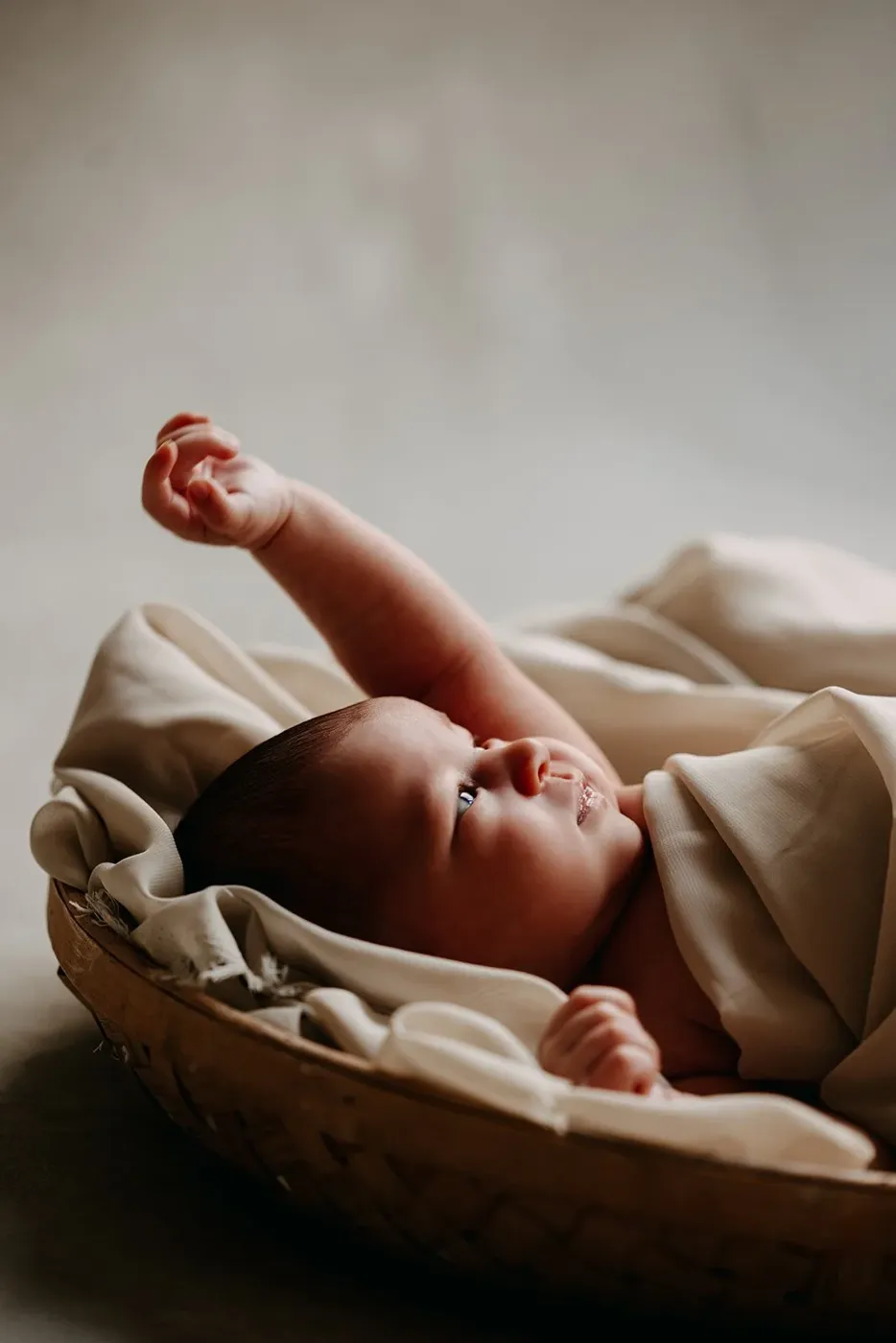 NEWBORN portfolio — 142