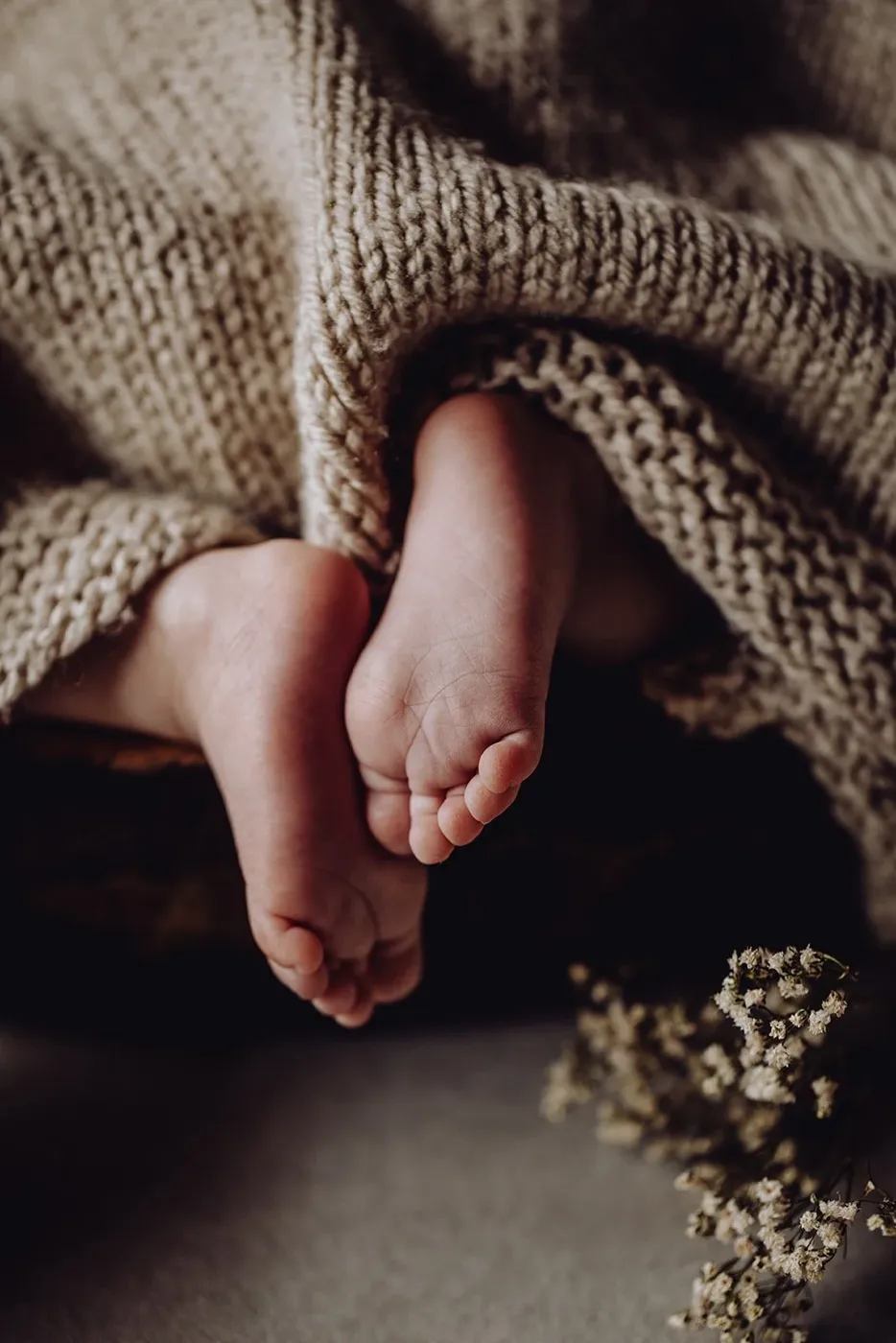 NEWBORN portfolio — 152