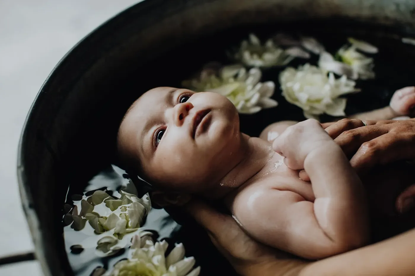 NEWBORN portfolio — 173