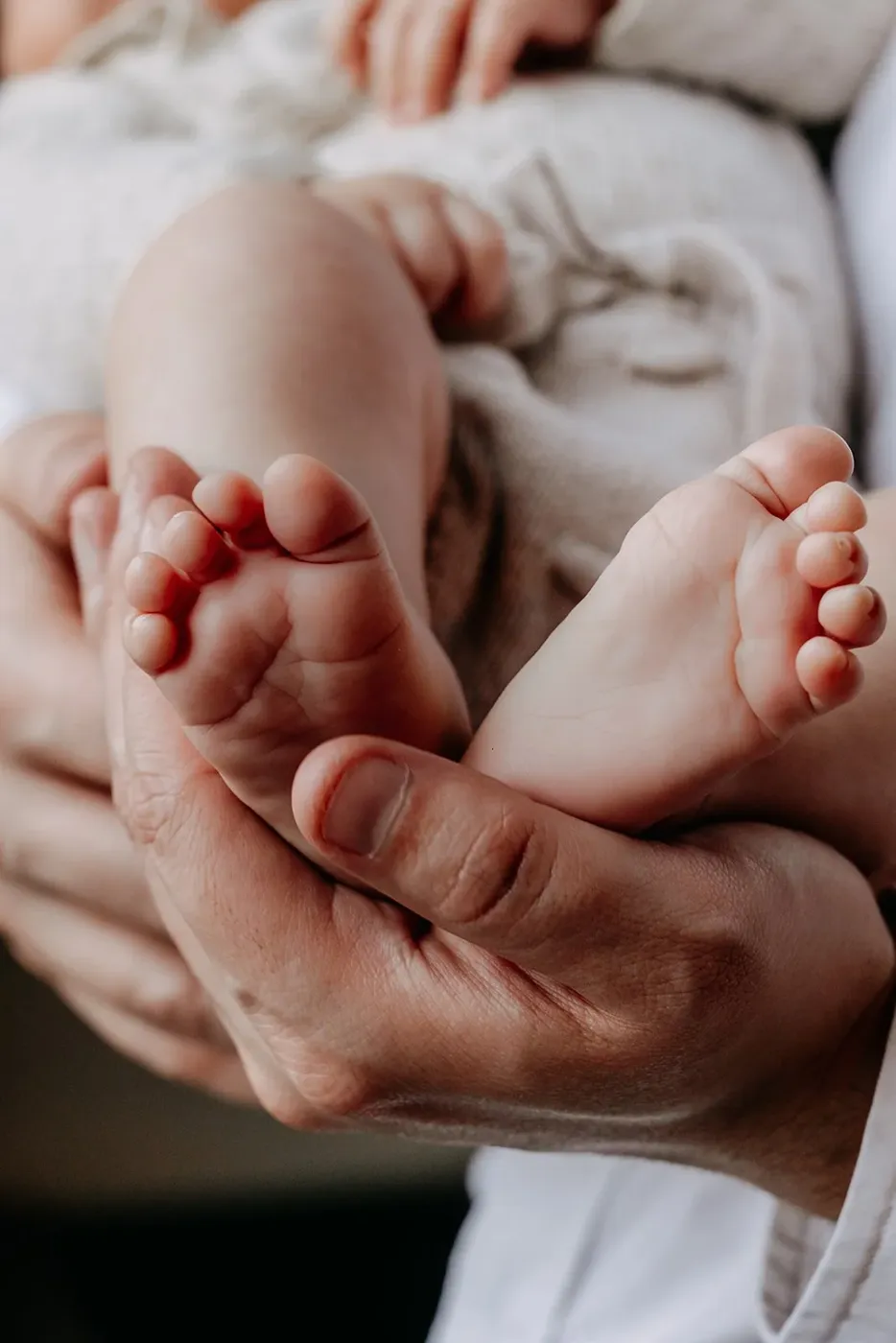 NEWBORN portfolio — 182