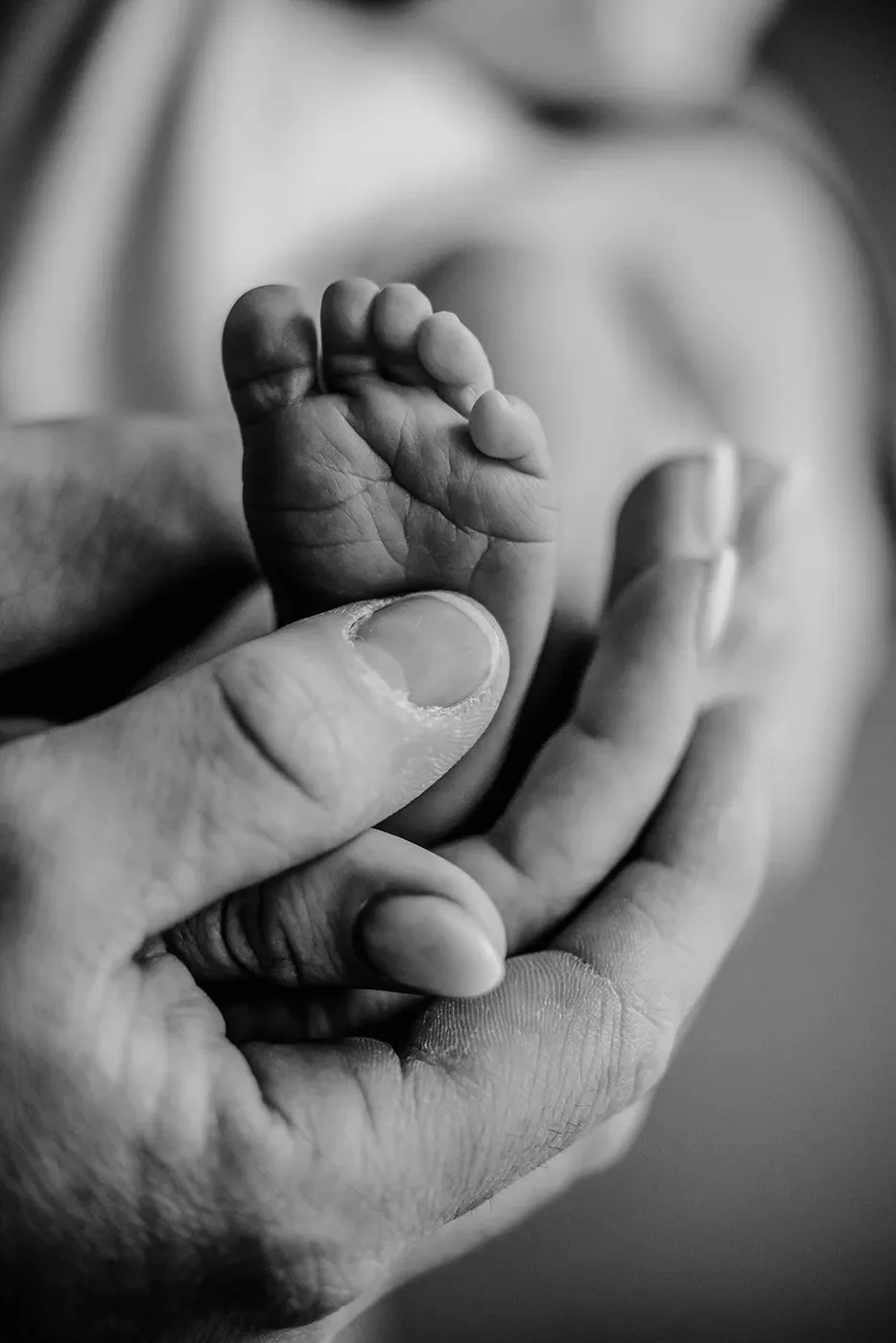 NEWBORN portfolio — 194