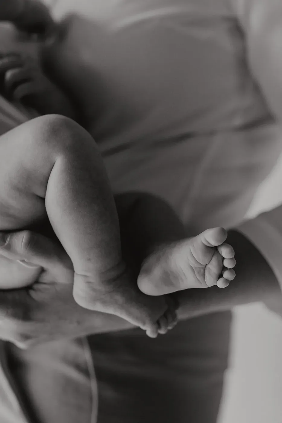 NEWBORN portfolio — 206