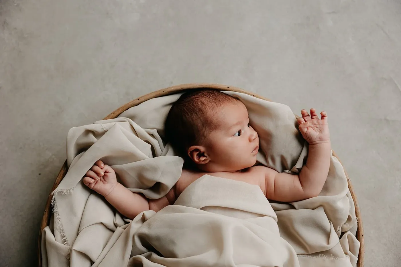 NEWBORN portfolio — 209