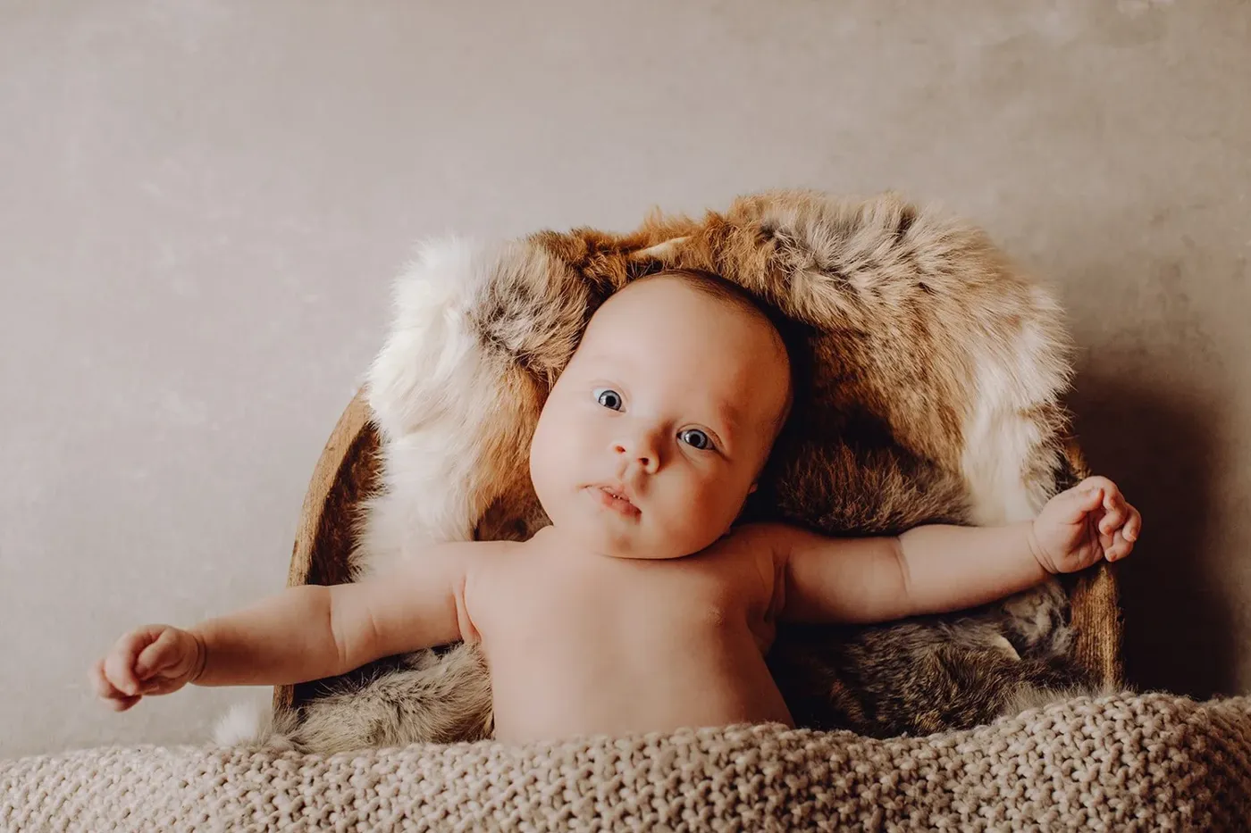 NEWBORN portfolio — 210