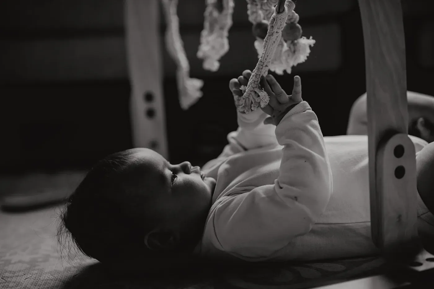 NEWBORN portfolio — 213