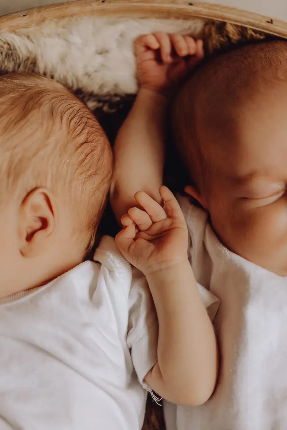 NEWBORN portfolio — 217