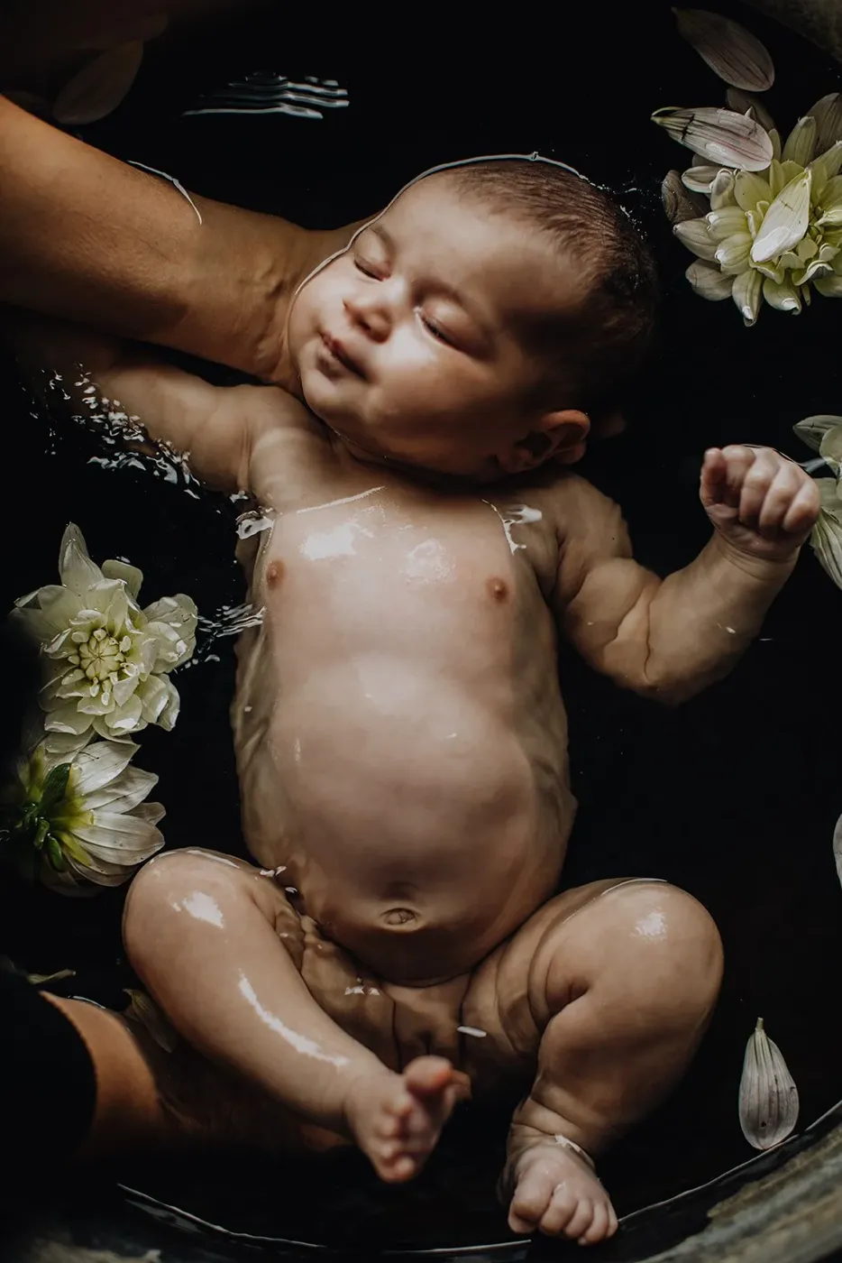 NEWBORN portfolio — 218