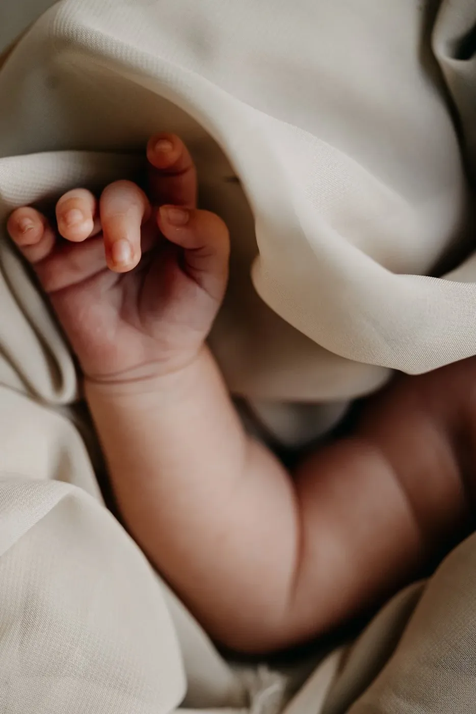 NEWBORN portfolio — 219