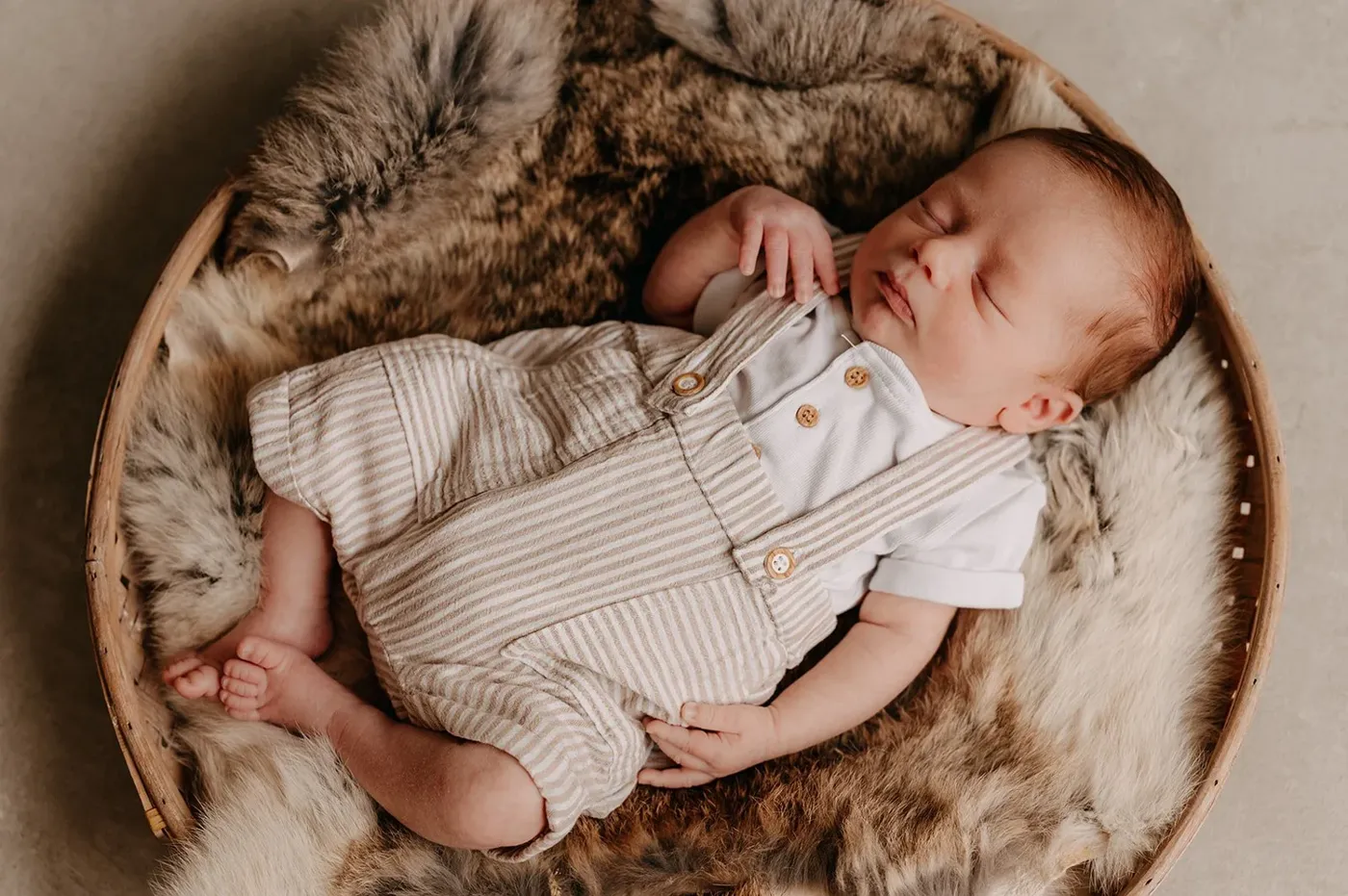 NEWBORN portfolio — 220