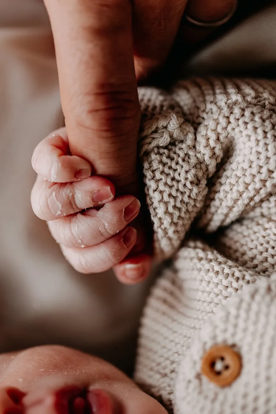 NEWBORN portfolio — 221