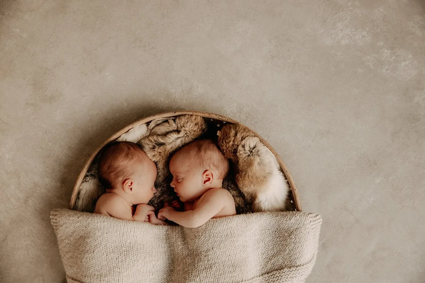 NEWBORN portfolio — 222