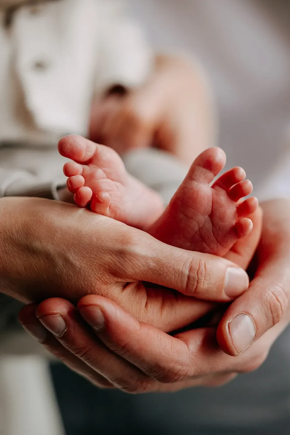 NEWBORN portfolio — 225