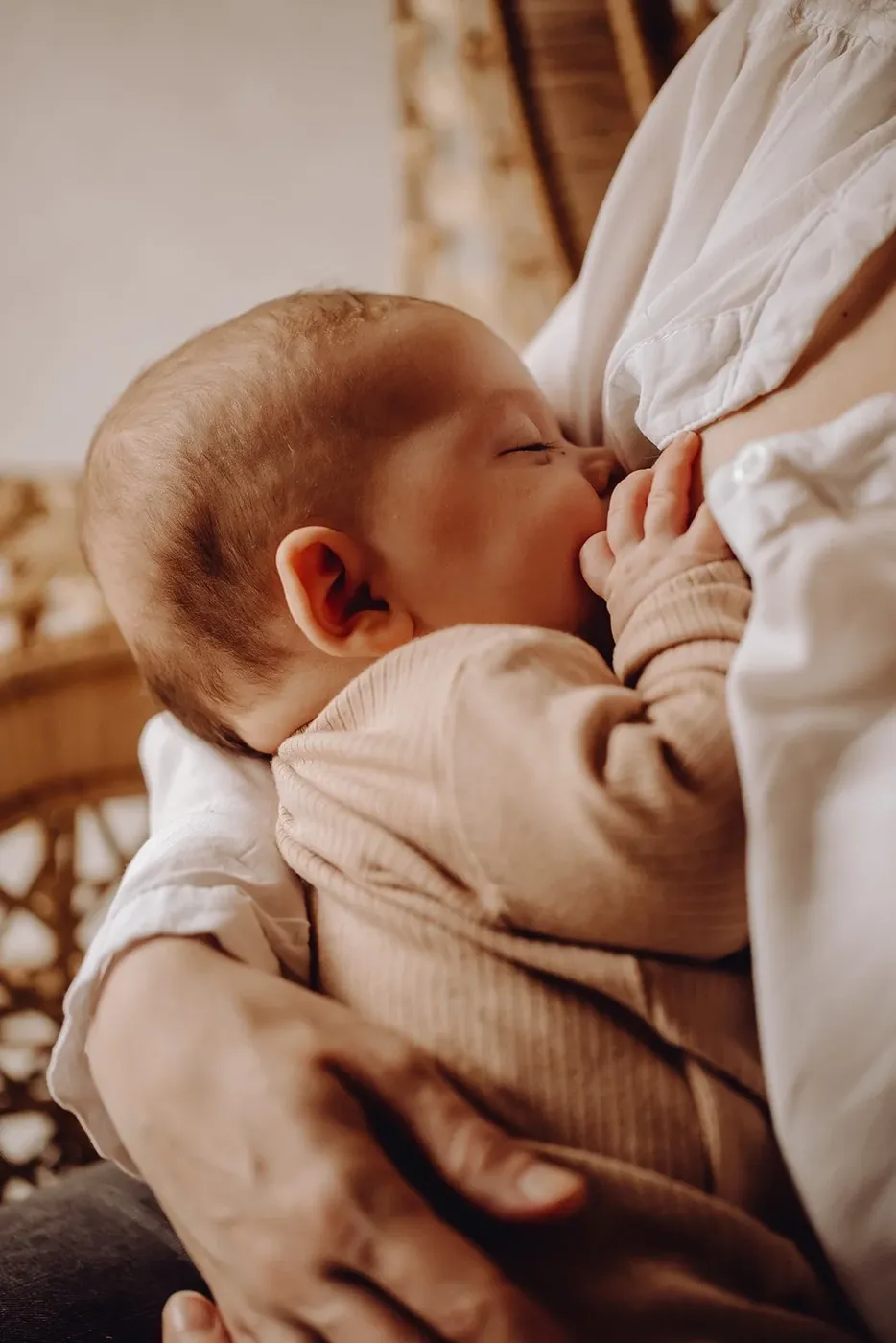 NEWBORN portfolio — 226