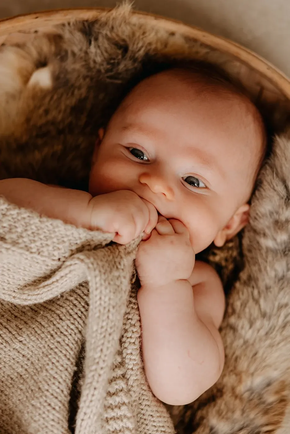 NEWBORN portfolio — 227