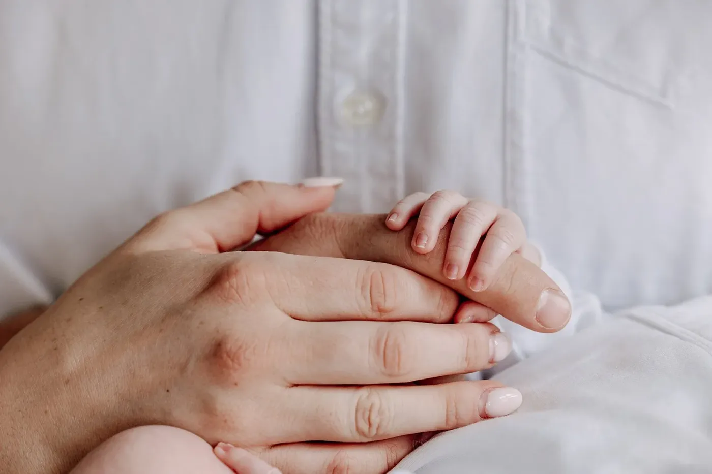 NEWBORN portfolio — 232