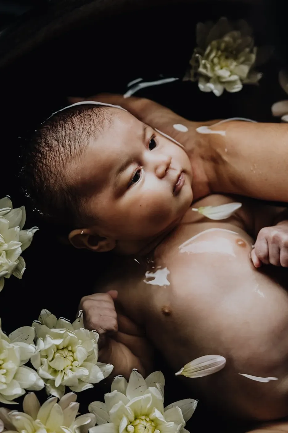 NEWBORN portfolio — 238