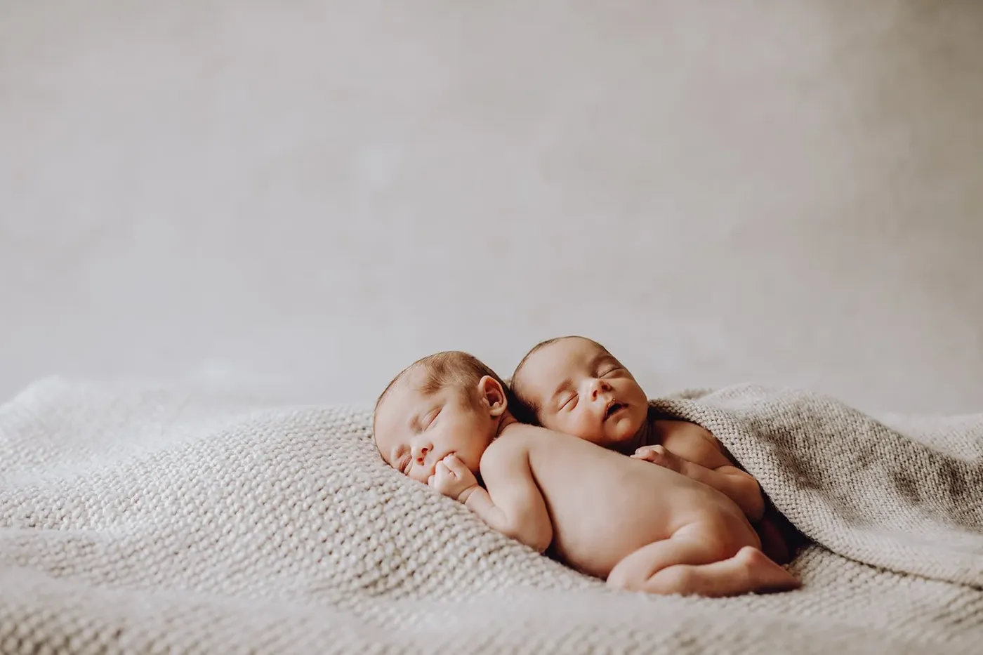 NEWBORN portfolio — 241